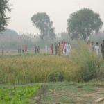 Vraj-Yatra-2014- (318)